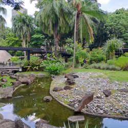 Greenbelt Park