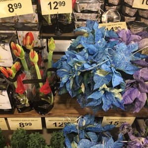 CVS PHARMACY - Updated October 2025 - 14 Photos - 3402 Slide Rd ...