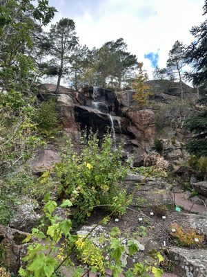 Gothenburg Botanical Garden by null