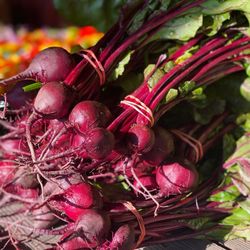 Farmer Stan's Plants & Produce
