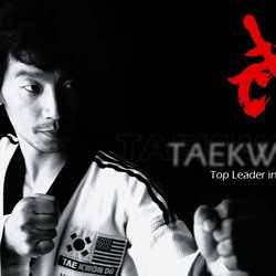 All Star Tae Kwon Do