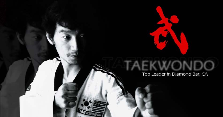 All Star Tae Kwon Do Logo