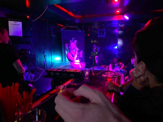 The Viper Room by null