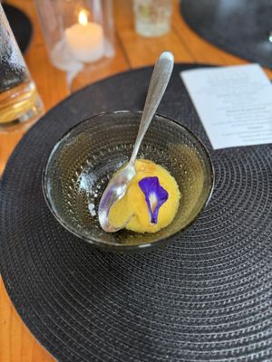 Common Ground Kauai by null