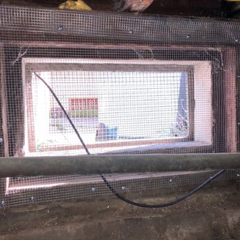 Rodent Proofing Intelligence - after - Pest Control Near Me Rodent Proofing Intelligence - after - Pest Control Near Me