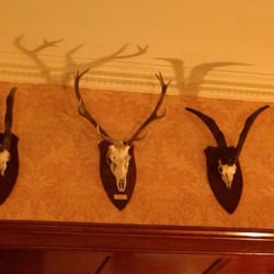 Forss House Hotel - Complete with deer