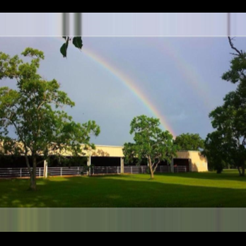 Dawson Equestrian Center - Horseback Riding Near Me - Alvin, Texas Dawson Equestrian Center - Horseback Riding Near Me - Alvin, Texas