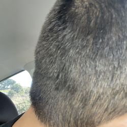 Happy Barber - wtf?!!!!