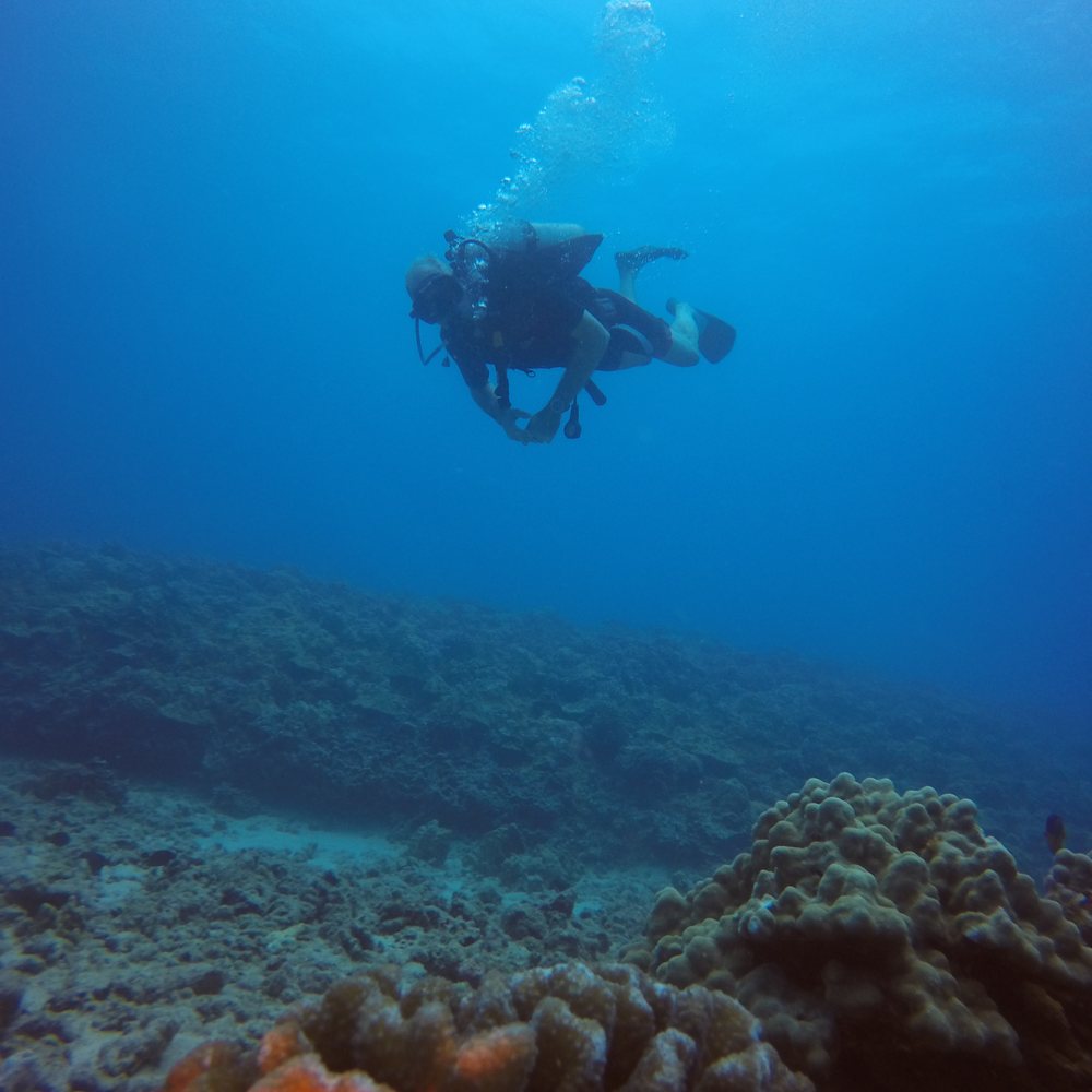 セミシャトル SPECIALIZED MTB試乗会@大杉トレイル | スペシャライズド 岡崎