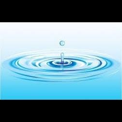 Disipio Plumbing