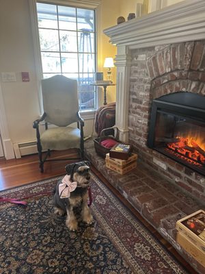 Inn At Occidental by null