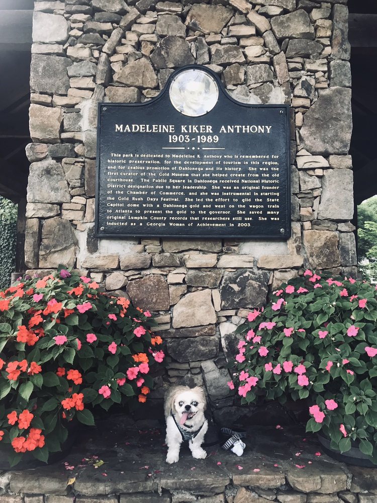 Social spots from Madeleine K Anthony Park