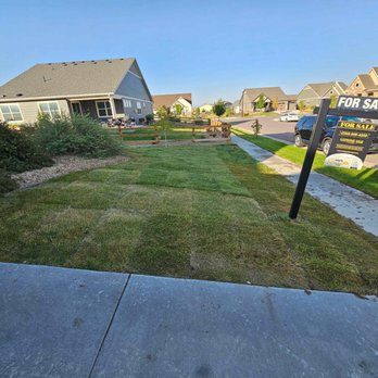 Roberto Landscaping - Home depot grass that doesn't match what they had installed that day. - Landscaping Near Me