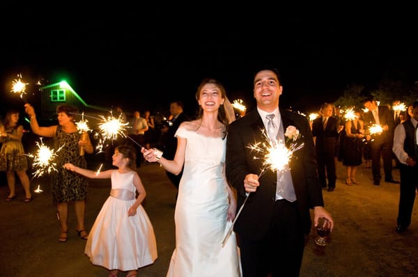 Alyson's Orchard by null