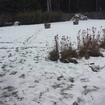 7 Gables Inn & Suites - Front lawn - Hotels Near Me - Fairbanks, Alaska