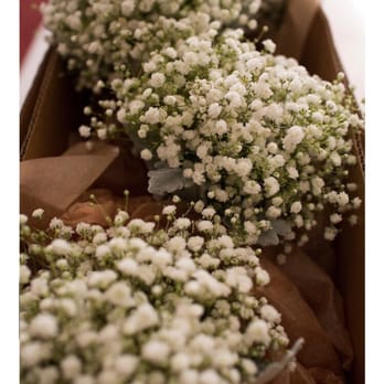 Monica Chimes Floral - Florists Near Me - West Harrison, New York