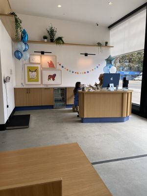 Modern Animal by null