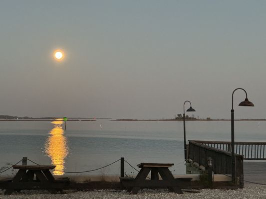 Rappahannock Oyster Co. by null