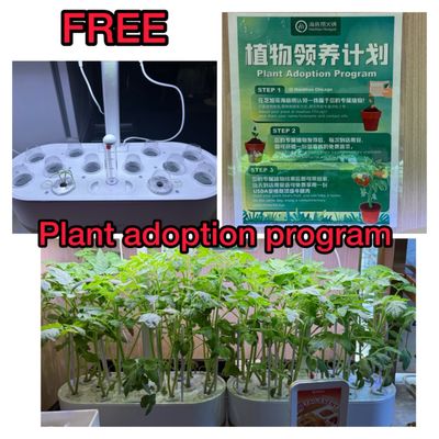 Haidilao HotPot Chicago Inc by null