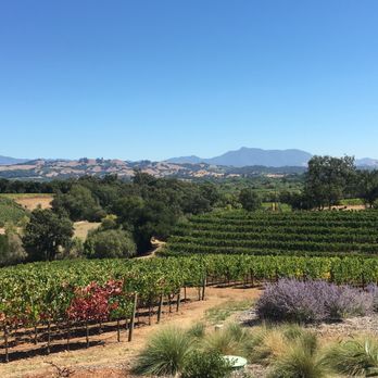 Red Wine Road Tours - Wine Tours Near Me Red Wine Road Tours - Wine Tours Near Me