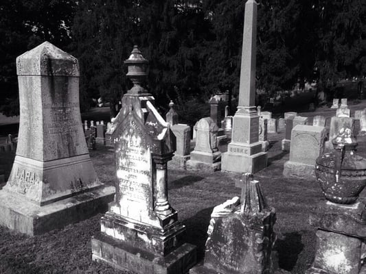 Thornrose Cemetery by null