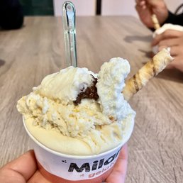 Dulce De Leche Gelato