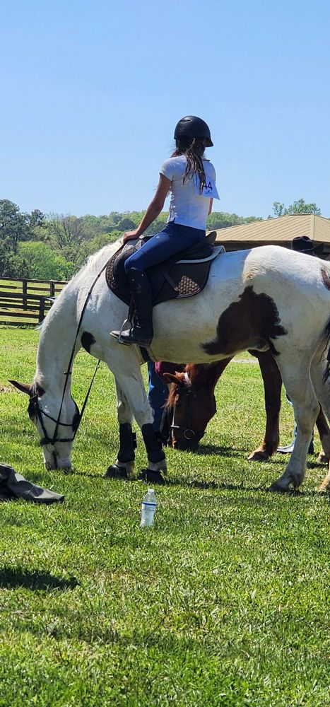 Celestial Riding Academy - equestrian in Kennesaw, GA