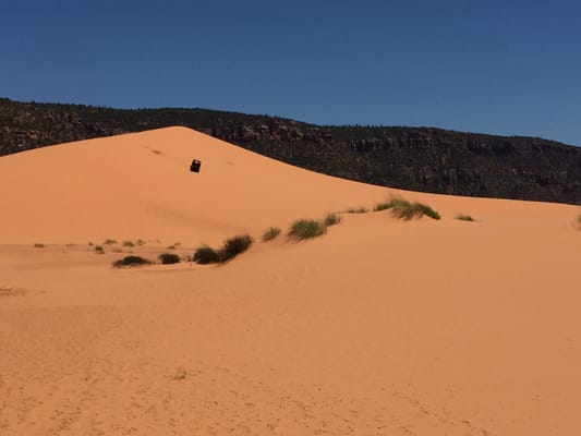 Coral Pink Sand Dunes State Park by null