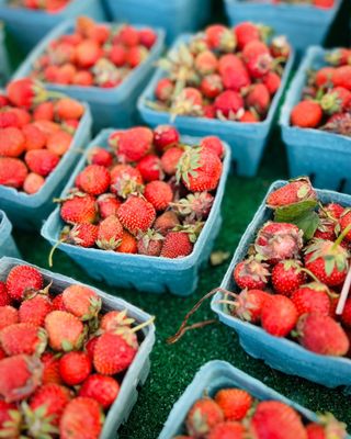 Evanston Farmers' Market by null