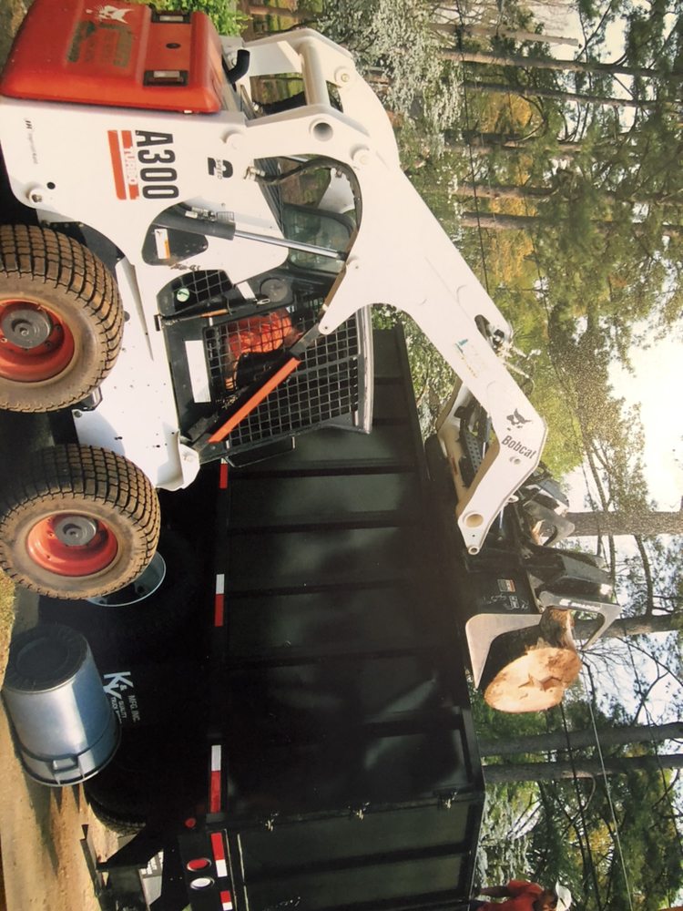 Steve's Tree Service & Landscape - tree service in Ellenwood, GA