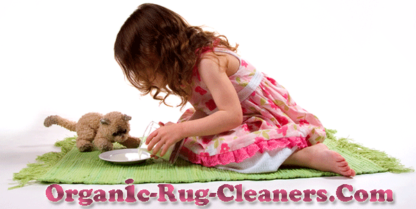 Organic Rug Cleaners