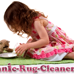 Organic Rug Cleaners - organic rug & carpet care in New York