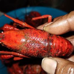 T'Beaux's Crawfish & Catering - Clinton