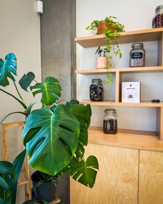 BREW TEA BAR by null