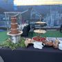 Photo of The Chocolate Curtain
