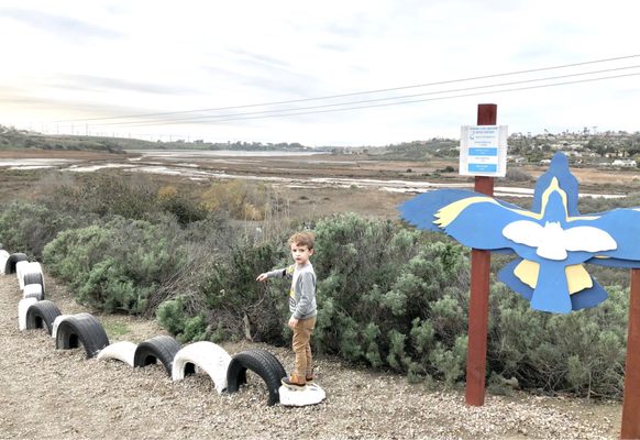 Agua Hedionda Lagoon Foundation (Discovery Center) by null