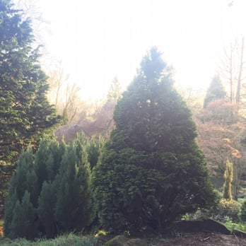Fletcher Moss Botanical Gardens - Parks Near Me - Manchester, XGM