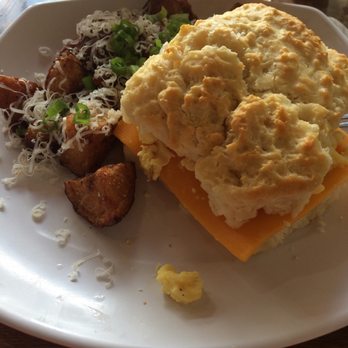 Biscuit Head - Classic with moon fries, fresh squeezed OJ and coffee - Bakeries Near Me - Asheville, North Carolina Biscuit Head - Classic with moon fries, fresh squeezed OJ and coffee - Bakeries Near Me - Asheville, North Carolina
