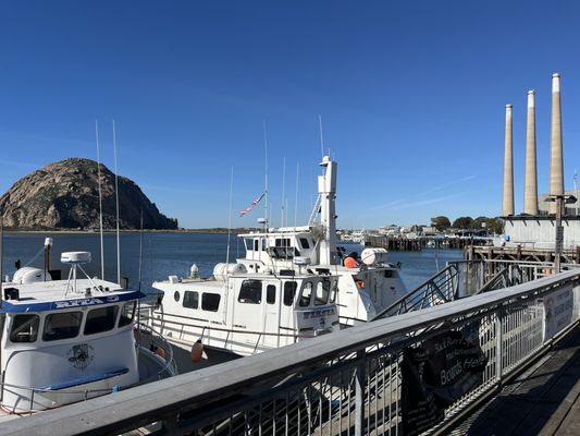 Giovanni's Fish Market And Galley by null