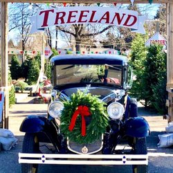 Treeland Christmas Trees - Treeland entrance