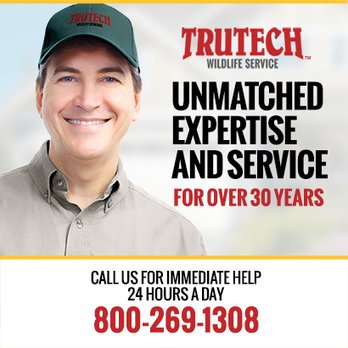 Trutech Wildlife Service - Pest Control Near Me Trutech Wildlife Service - Pest Control Near Me