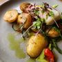 Photo of Antico
