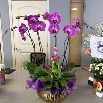 Dreamstate Florist - Purple orchid and callilly plant arrangement - Florists Near Me - Hayward, California