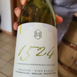 Bodega Dos Búhos - ed Wine Mosaico Tinto 1524