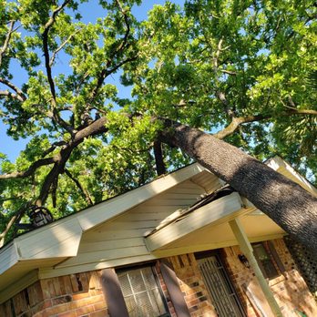 VIP Enterprises Tree & Fence Experts - Tree Services Near Me - Bryan, Texas VIP Enterprises Tree & Fence Experts - Tree Services Near Me - Bryan, Texas