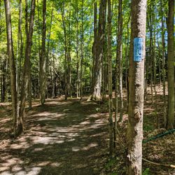 Thornton Bales Conservation Area - Well marked trails