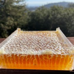 Honey by the Bay - We take pride in our commitment to chemical-free practices, ensuring our bees thrive without unnecessary stress.
