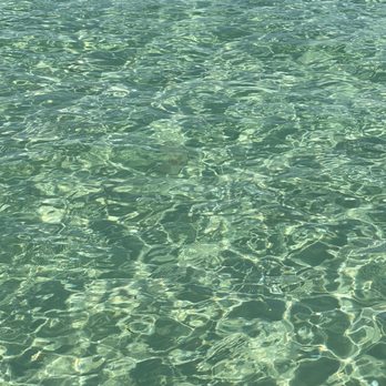 Premier Luxury Charter - Beautiful clear water. - Boat Charters Near Me