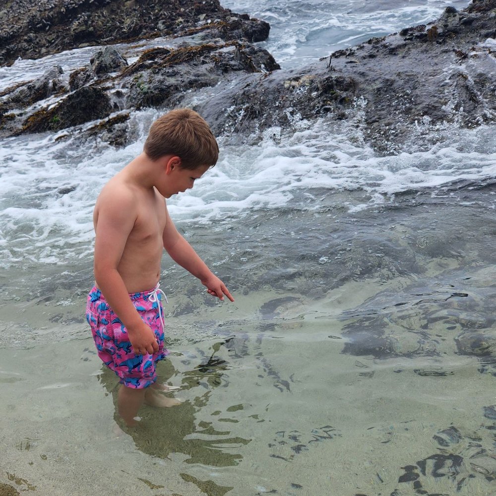 Table Rock Beach - Fishies! - Beaches Near Me - Laguna Beach, California Table Rock Beach - Fishies! - Beaches Near Me - Laguna Beach, California