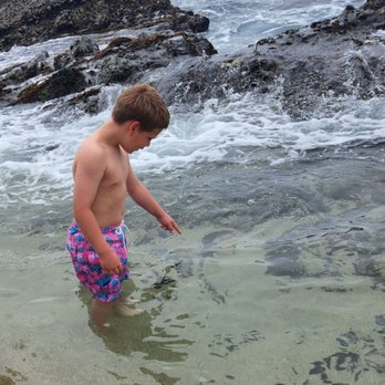 Table Rock Beach - Fishies! - Beaches Near Me - Laguna Beach, California